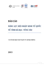 Báo cáo năng lực hội nhập kinh tế quốc tế tỉnh bà rịa   vũng tàu 2013