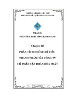 Báo cáo phân tích nhóm chỉ tiêu thanh toán của công ty cổ phần tập đoàn hòa phát