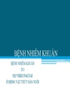 Bài thuyết trình bệnh nhiễm khuẩn do họ vibrionaceae ở động vật thủy sản nuôi