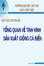 Bao_cao_ca_bien_6711