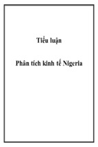 Tiểu luận phân tích kinh tế nigeria