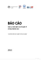 Báo cáo năng lực hội nhập kinh tế quốc tế cấp địa phương 2013