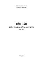 Báo cáo điều tra lao động việc làm năm 2013   bộ kế hoạch và đầu tư tổng cục thống kê