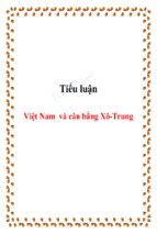 Tiểu luận việt nam và cân bằng xô trung