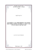 Tách dòng và xác định trình tự nucleotit một số đoạn trong genome của virut vàng lùn lúa (rgsv) tại việt nam