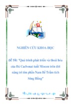 Nghiên cứu khoa học đề tài  quá trình phát triển và thoái hóa của đá cacbonat tuổi miocen trên đới nâng tri tôn phần nam bể trầm tích sông hồng