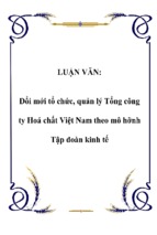 Luận văn đổi mới tổ chức, quản lý tổng công ty hoá chất việt nam theo mô hỡnh tập đoàn kinh tế 0