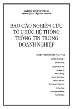 Báo cáo nghiên cứu tổ chức hệ thống thông tin trong doanh nghiệp