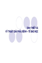 Sinh thiết kỹ thuật giải phẫu bệnh   tế bào học