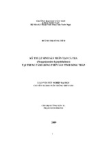 Kỹ thuật sinh sản nhân tạo cá tra (pangasianodon hypophthalmus) tại trung tâm giống thủy sản tỉnh đồng tháp