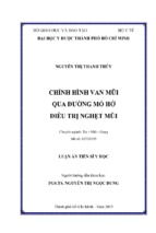 Luận án tiến sĩ y học chỉnh hình van mũi qua đường mổ hở điều trị nghẹt mũi