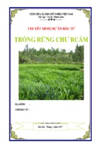 Tư vấn lập dự án miễn phí   trồng rừng chư rcăm