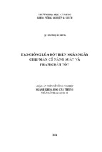 Tạo giống lúa đột biến ngắn ngày chịu mặn có năng suất và phẩm chất tốt