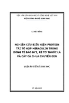 Luận án tiến sĩ sinh học  nghiên cứu biểu hiện protein tái tổ hợp miraculin trong dòng tế bào by2, rễ tơ thuốc lá và cây cà chua chuyển gen