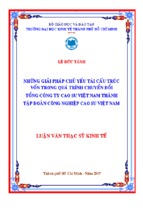 Những giải pháp chủ yếu tái cấu trúc vốn trong quá trình chuyển đổi tổng công ty cao su việt nam thành tập đoàn công nghiệp cao su việt nam