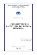 Tiểu luận chiến lược xúc tiến các sản phẩm bảo hiểm của prudential