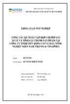 Công tác kế toán tập hợp chi phí sản xuất và tính giá thành sản phẩm tại công ty tnhh mtv động cơ và máy nông nghiệp miền nam vikyno & vinappro