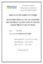 Phân tích các yếu tố ảnh hưởng đến lợi nhuận tại tổng công ty thương mại kỹ thuật và đầu tư petec