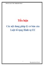 Tiểu luận các nội dung pháp lý cơ bản của luật tố tụng hình sự eu