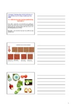 Vật lý thực phẩm chương 3