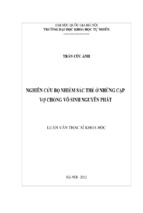 Nghiên cứu bộ nhiễm sắc thể ở những cặp vợ chồng vô sinh nguyên phát