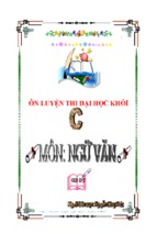 Tài liệu ôn thi đại học môn ngữ văn