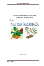 Phát triển sản phẩm trà xanh Gừng