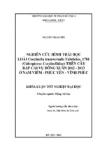Nghiên cứu hình thái học loài Coccinella transversalis Fabricius, 1781 (Coleoptera Coccinellidae) trên cây bắp cải ở Nam Viêm - Phúc Yên - Vĩnh Phúc