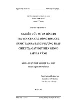 Nghiên cứu sự đa hình di truyền của các dòng hoa cúc được tạo ra bằng phương pháp chiếu xạ gây đột biền giống Saphia vàng
