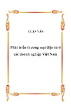 Phát triển thương mại điện tử  các doanh nghiệp việt nam