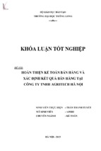 Luận văn hoàn thiện kế toán bán hàng và xác định kết quả bán hàng tại công ty tnhh agritech hà nội