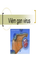 Viêm gan virus