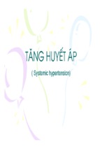 Tăng huyết áp 02