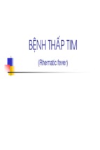 Bệnh thấp tim