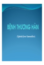 Bệnh thương hàn