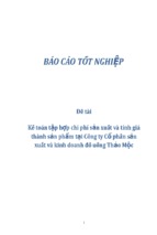 Kế toán tập hợp chi phí sản xuất và tính giá thành sản phẩm tại Công ty Cổ phần sản xuất và kinh doanh đồ uống Thảo Mộc
