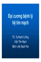 đại cương bệnh lý hệ tim mạch