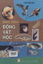 Giáo trình động vật học  thái trần bá