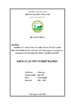 Nghiên cứu ảnh hưởng của một số yếu tố nội tại đến khả năng hình thành cây hom lộc vừng (barringtoria acutangula (l.) gaertn ) tại trường đại học nông lâm thái nguyên