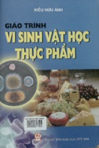 Giáo trình vi sinh vật học thực phẩm  kiều hữu ảnh