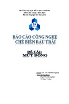 Báo cáo công nghệ chế biến rau trái mứt đông   ths. tôn nữ minh nguyệt