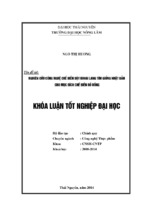 Nghiên cứu công nghệ chế biến bột khoai lang tím giống nhật bản cho mục đích chế biến đồ uống