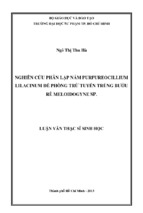 Luận văn thạc sỹ sinh học nghiên cứu phân lập nấm purpureocillium lilacinum để phòng trừ tuyến trùng bướu rễ meloidogyne sp