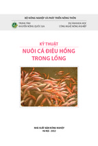 Kỹ thuật nuôi cá điêu hồng trong lồng