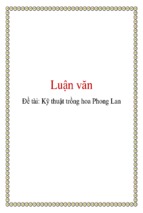 Kỹ thuật trồng hoa phong lan