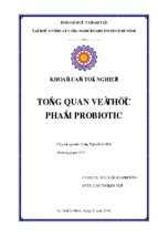 Tổng quan về thực phẩm probiotics