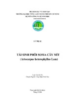 Tái sinh phôi soma cây mít (artocarpus heterophyllus lam)