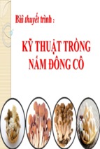 Bài thuyết trình kỹ thuật trồng nấm đông cô