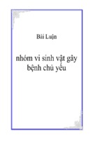 Nhóm vi sinh vật gây bệnh chủ yếu