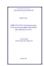 Nghiên cứu sử dụng nấm metarhizium anisopliae và nấm beauveria bassiana phòng chống rệp sáp hại cà p